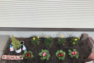 ✿お花を新しくしました✿