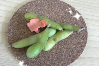 ＊サンエル農園＊