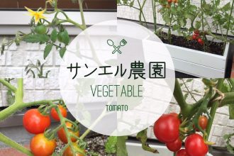 サンエル農園♪