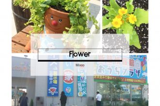 花植え♪