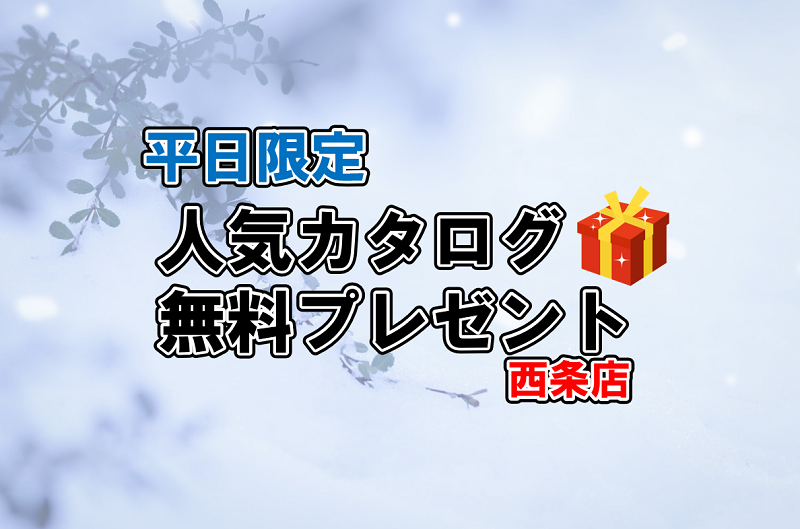 【１０組様限定!!】大人気カタログ無料プレゼント🎁✨【西条店限定】
