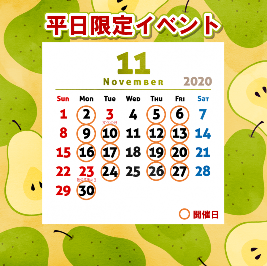 【11月平日限定🌈完全予約制✨】ゆっくりお話し、見学できます🏠✨お子様大歓迎✨