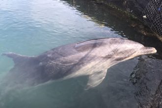 しまなみ海道🌊