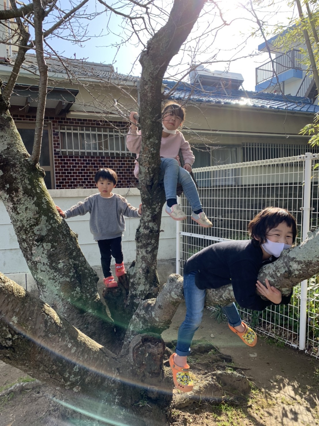 画像に alt 属性が指定されていません。ファイル名: S__80412678-3.jpg