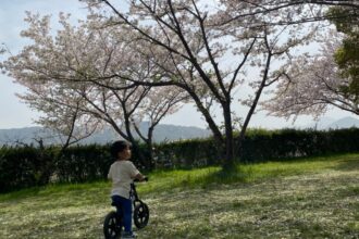 かけこみお花見🌸