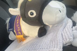 大きなお買い物🚗