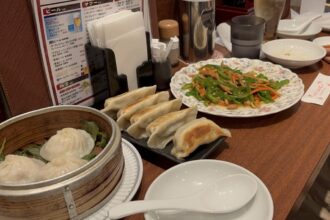 中華🐼