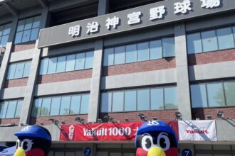 野球観戦⚾