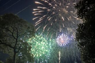 花火🎆