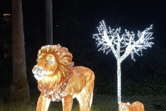 夜の動物園🦒