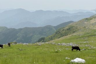 カルスト旅🐄