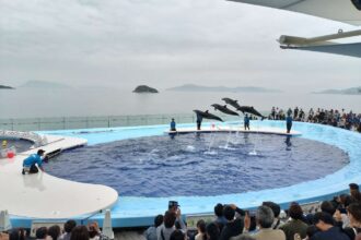 はじめての…🐟