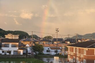 雨あがり🌈