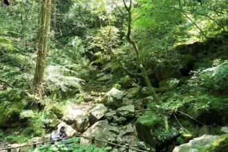 夏のおすすめスポット🍃