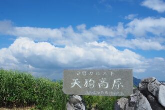 四国カルスト🐄