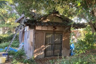 解体のお話し🤔