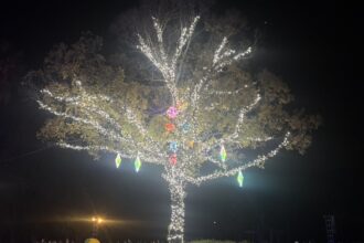 イルミネーション✨🌟