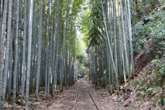 🚂鉄道“廃線”