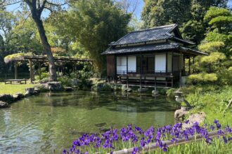 天赦園を散策🪻