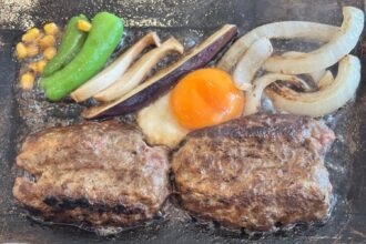 【高知県】ハンバーグ🍴