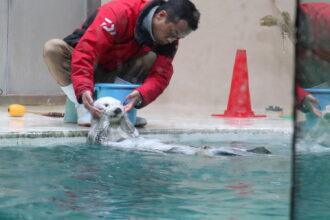 鳥羽水族館🦦