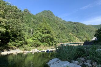 夏の川涼み✨