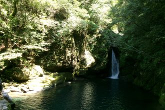 家族で高知旅行🚗